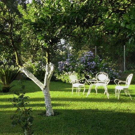 Casa Malu Boutique Apartments - No 1 Gouvia Luaran gambar