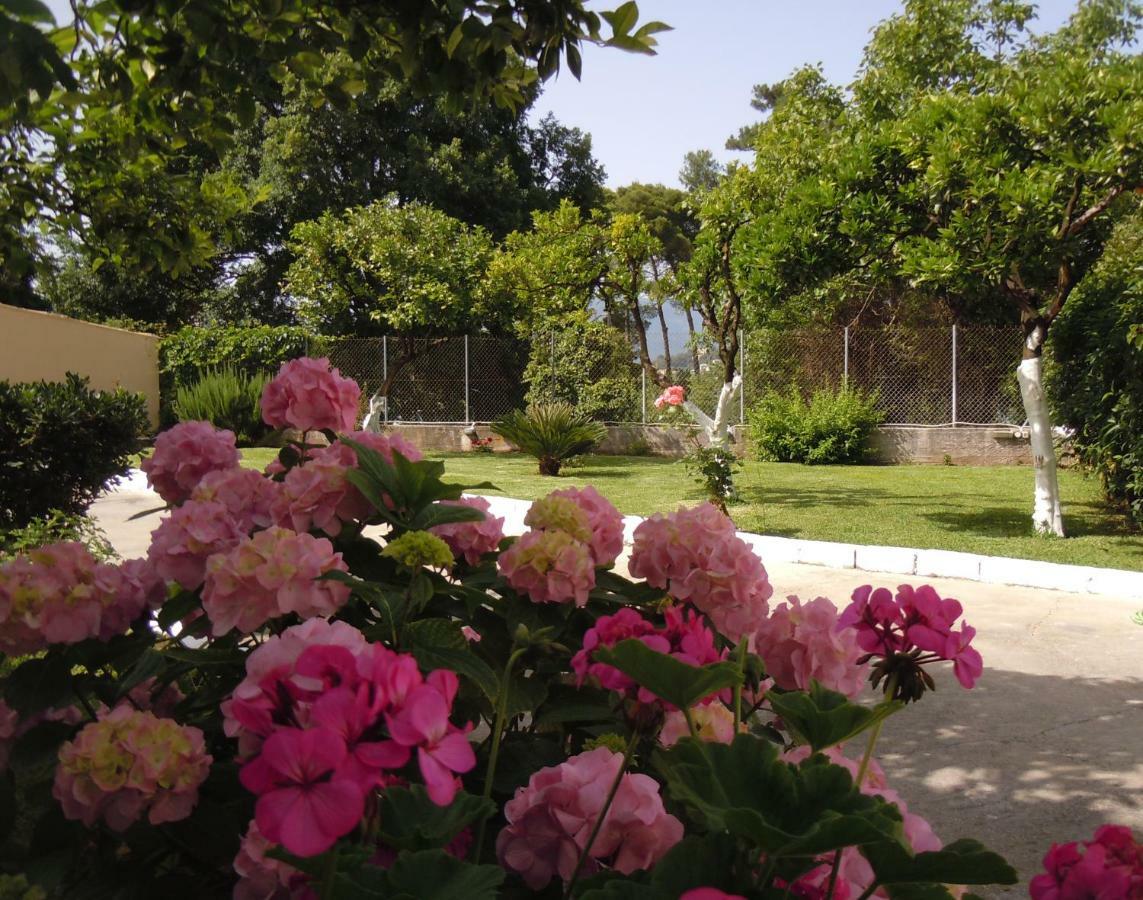 Casa Malu Boutique Apartments - No 1 Gouvia Luaran gambar